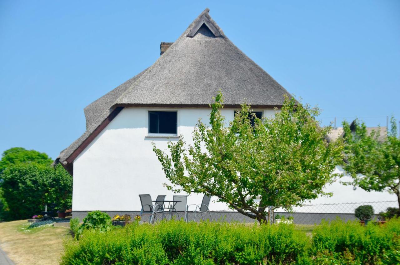 Meerforelle 207 - Villa Seeblick Sassnitz Exterior foto